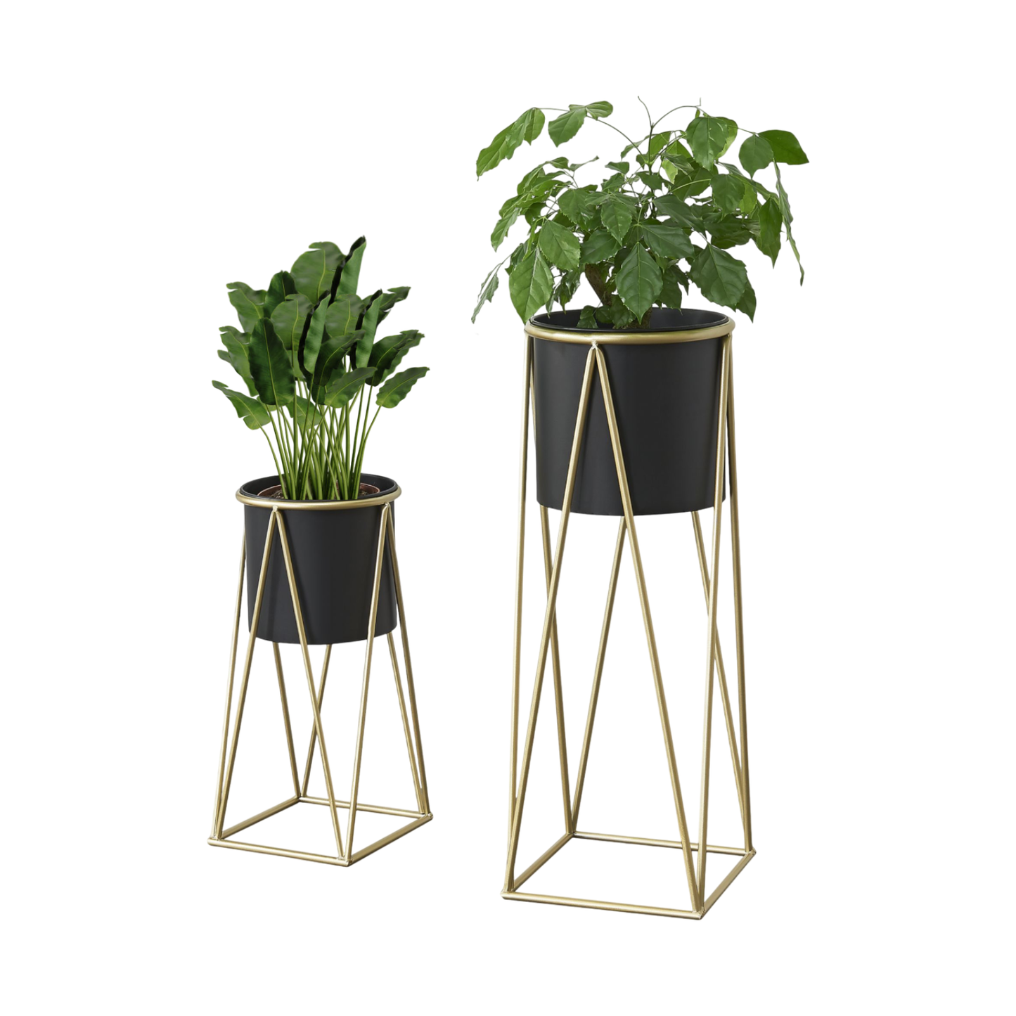Blumenständer mit Übertopf | Stahl | Schwarz-Gold | Set mit 2 Höhen